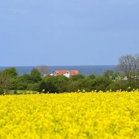 Apartamento Steiner Strandappartements 306 Sued- Landseite Stein (Schleswig-Holstein)